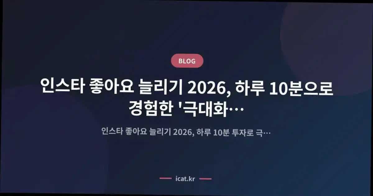 인스타 좋아요 늘리기 2026, 하루 10분으로 경험한 '극대화 효율'의 비결