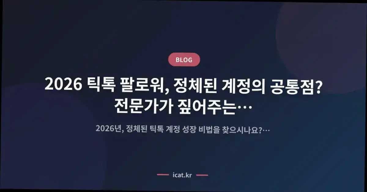 2026 틱톡 팔로워, 정체된 계정의 공통점? 전문가가 짚어주는 성장 비법