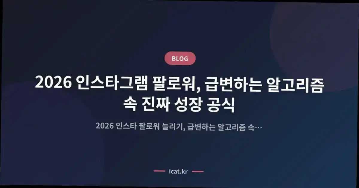 2026 인스타그램 팔로워, 급변하는 알고리즘 속 진짜 성장 공식