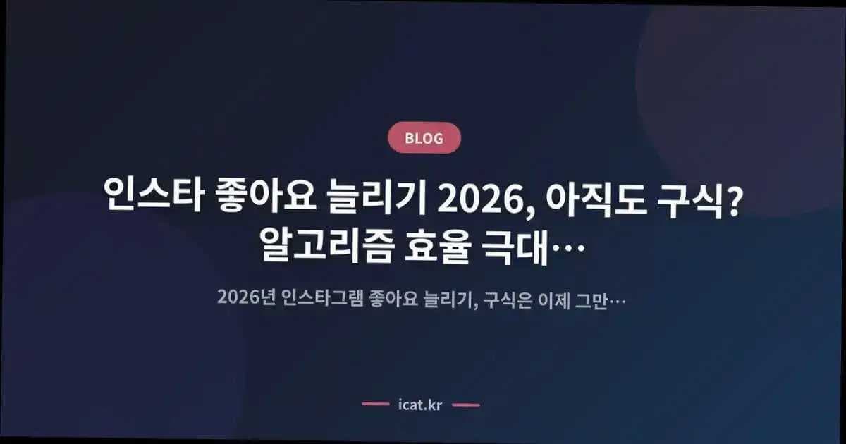 인스타 좋아요 늘리기 2026, 아직도 구식? 알고리즘 효율 극대화 비교 분석