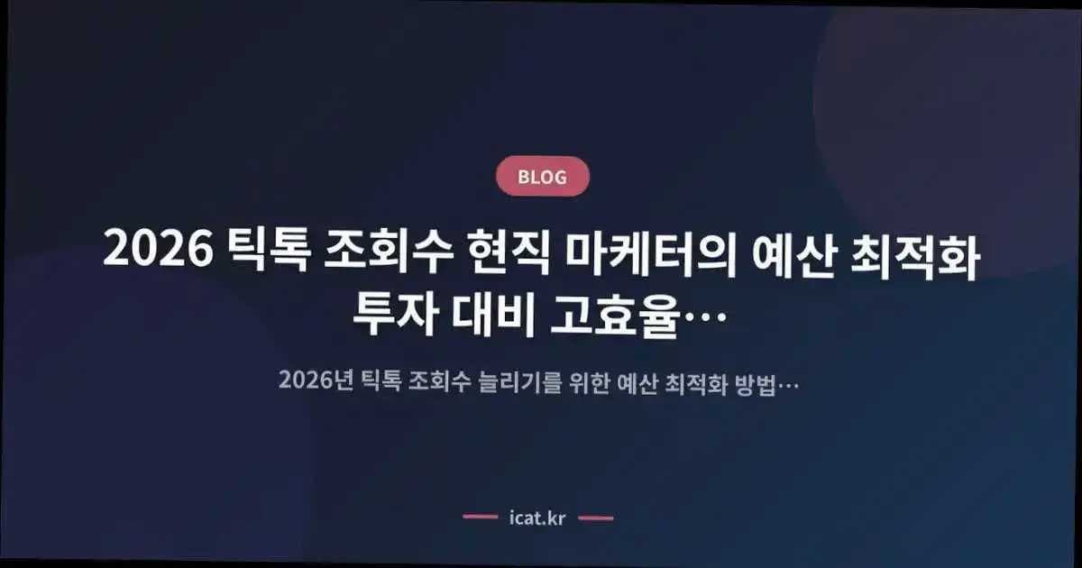 2026 틱톡 조회수 현직 마케터의 예산 최적화 투자 대비 고효율 원칙