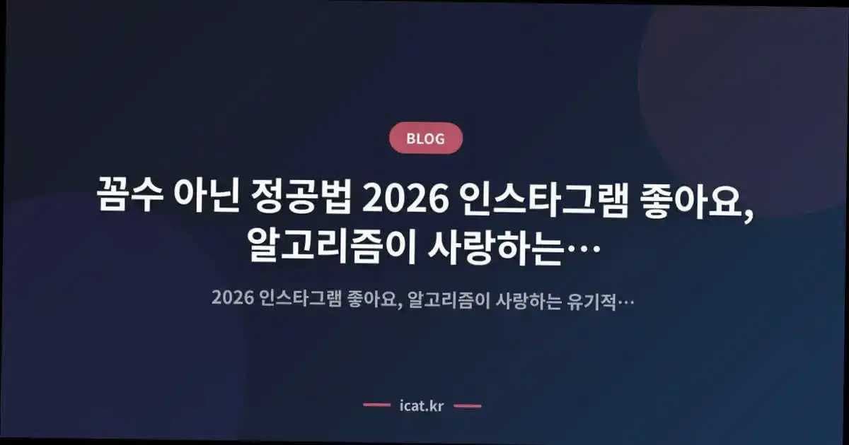 꼼수 아닌 정공법 2026 인스타그램 좋아요, 알고리즘이 사랑하는 유기적 성장 비결