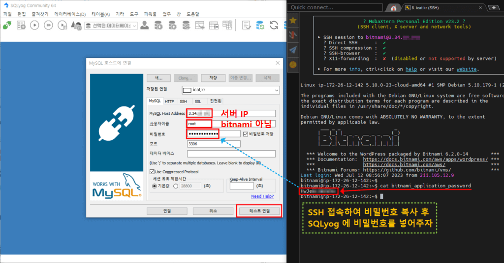 SQLyog - DB 접속 설정 설명