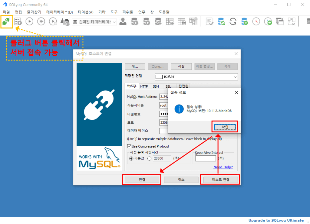 SQLyog - DB 접속 성공